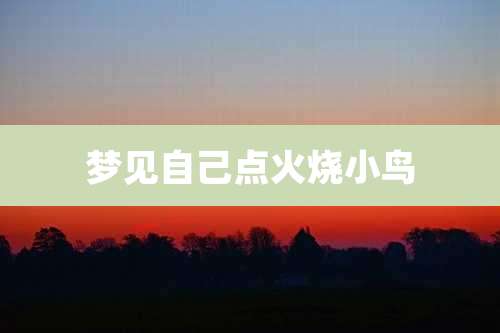 梦见自己点火烧小鸟