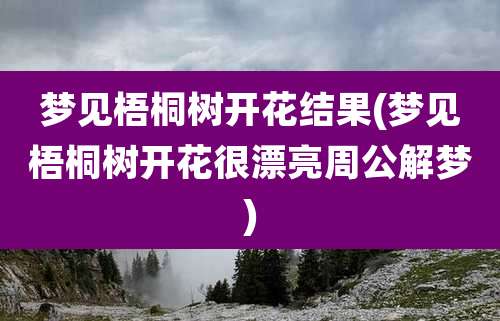 梦见梧桐树开花结果(梦见梧桐树开花很漂亮周公解梦)