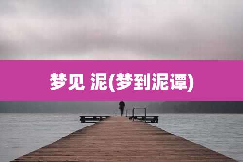 梦见 泥(梦到泥谭)
