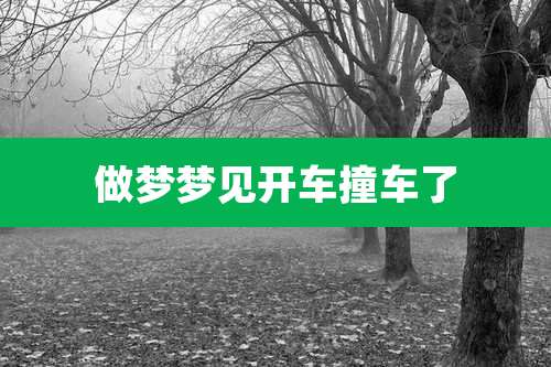 做梦梦见开车撞车了