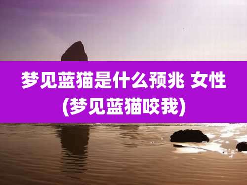 梦见蓝猫是什么预兆 女性(梦见蓝猫咬我)