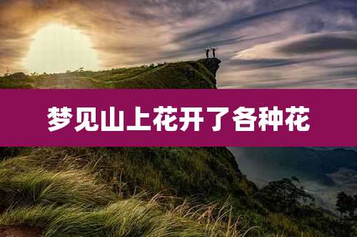 梦见山上花开了各种花