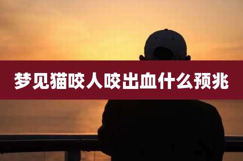 梦见猫咬人咬出血什么预兆