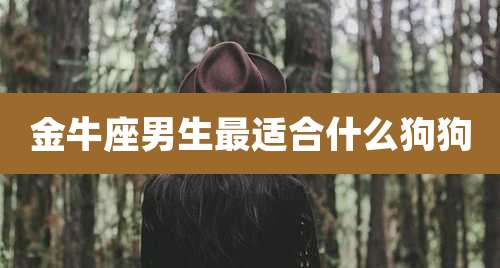 金牛座男生最适合什么狗狗