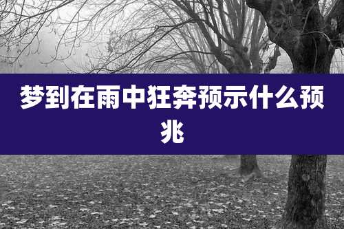 梦到在雨中狂奔预示什么预兆