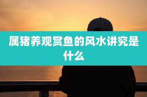 属猪养观赏鱼的风水讲究是什么