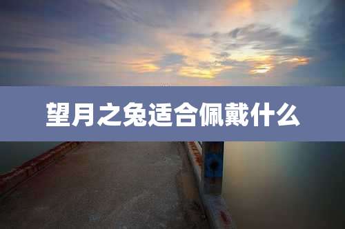 望月之兔适合佩戴什么