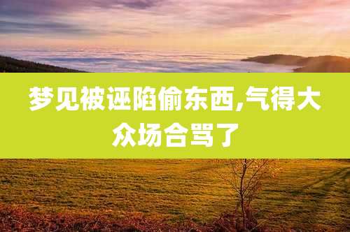 梦见被诬陷偷东西,气得大众场合骂了