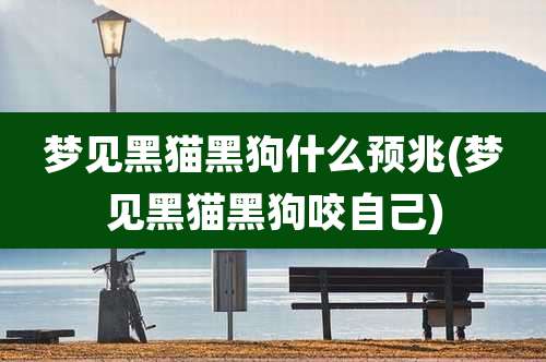 梦见黑猫黑狗什么预兆(梦见黑猫黑狗咬自己)