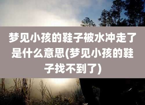 梦见小孩的鞋子被水冲走了是什么意思(梦见小孩的鞋子找不到了)