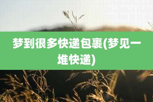 梦到很多快递包裹(梦见一堆快递)