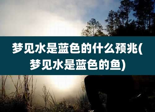 梦见水是蓝色的什么预兆(梦见水是蓝色的鱼)