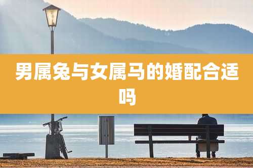 男属兔与女属马的婚配合适吗