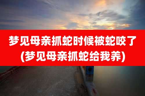 梦见母亲抓蛇时候被蛇咬了(梦见母亲抓蛇给我养)