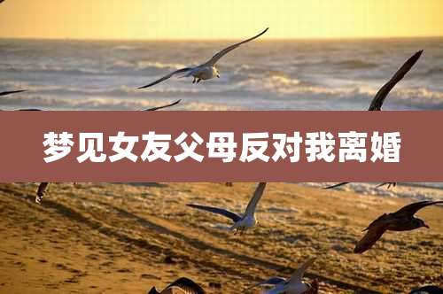 梦见女友父母反对我离婚