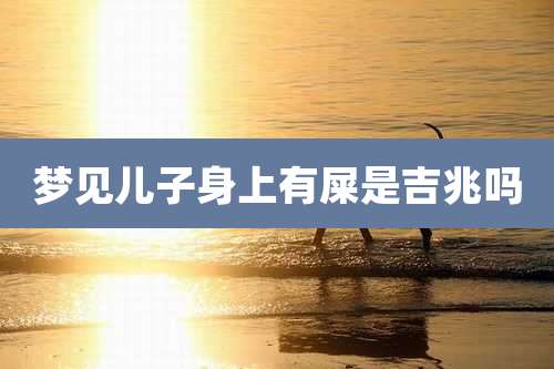 梦见儿子身上有屎是吉兆吗