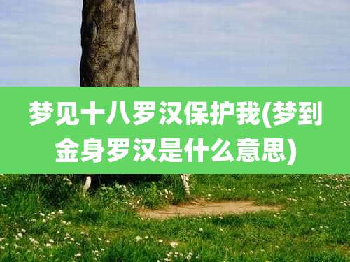 梦见十八罗汉保护我(梦到金身罗汉是什么意思)