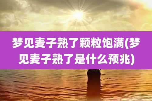 梦见麦子熟了颗粒饱满(梦见麦子熟了是什么预兆)