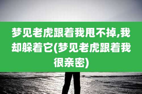 梦见老虎跟着我甩不掉,我却躲着它(梦见老虎跟着我很亲密)