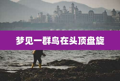 梦见一群鸟在头顶盘旋