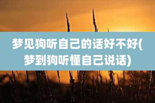 梦见狗听自己的话好不好(梦到狗听懂自己说话)