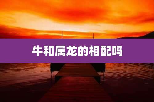 牛和属龙的相配吗
