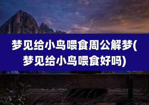 梦见给小鸟喂食周公解梦(梦见给小鸟喂食好吗)