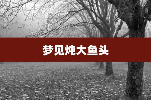 梦见炖大鱼头