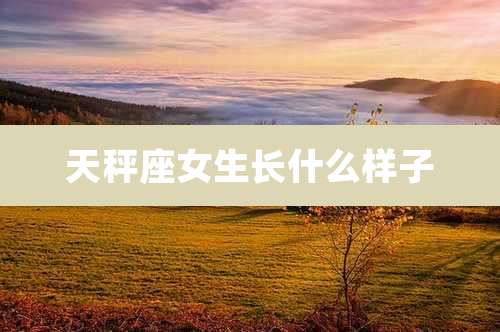 天秤座女生长什么样子