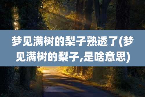 梦见满树的梨子熟透了(梦见满树的梨子,是啥意思)