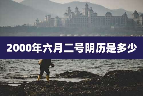 2000年六月二号阴历是多少