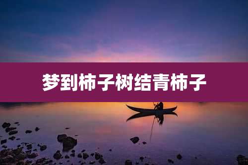 梦到柿子树结青柿子