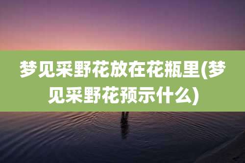 梦见采野花放在花瓶里(梦见采野花预示什么)