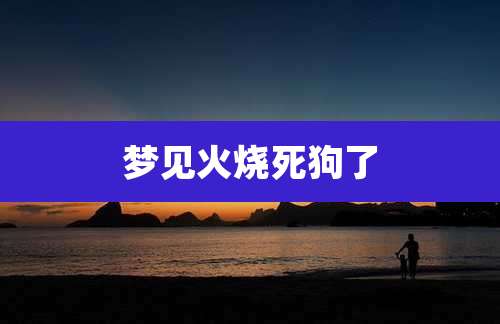 梦见火烧死狗了