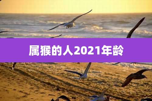 属猴的人2021年龄