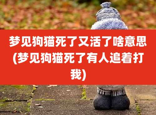 梦见狗猫死了又活了啥意思(梦见狗猫死了有人追着打我)