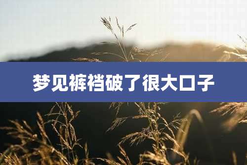梦见裤裆破了很大口子