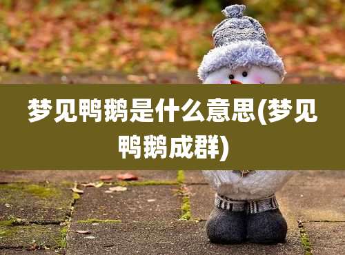 梦见鸭鹅是什么意思(梦见鸭鹅成群)