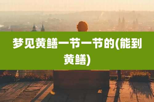 梦见黄鳝一节一节的(能到黄鳝)