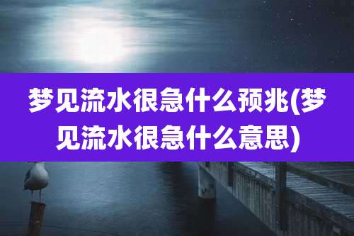 梦见流水很急什么预兆(梦见流水很急什么意思)