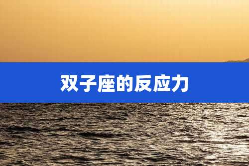 双子座的反应力