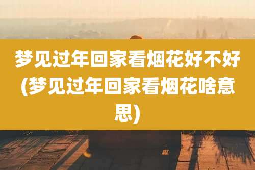 梦见过年回家看烟花好不好(梦见过年回家看烟花啥意思)