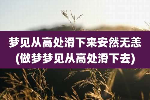 梦见从高处滑下来安然无恙(做梦梦见从高处滑下去)