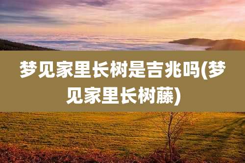 梦见家里长树是吉兆吗(梦见家里长树藤)