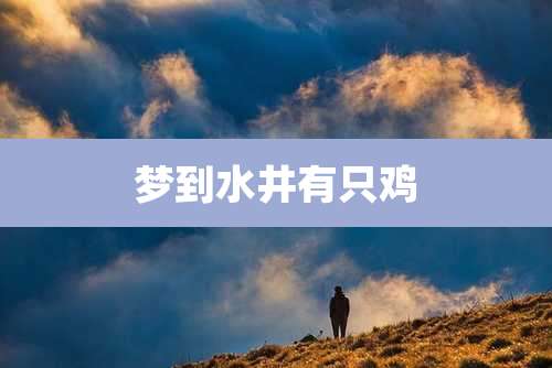 梦到水井有只鸡