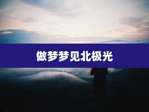 做梦梦见北极光