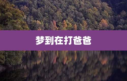 梦到在打爸爸