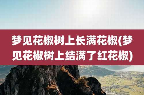 梦见花椒树上长满花椒(梦见花椒树上结满了红花椒)