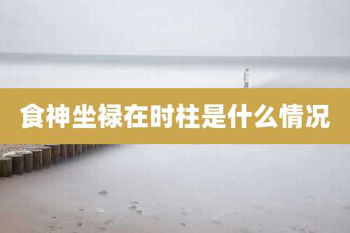 食神坐禄在时柱是什么情况