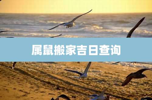 属鼠搬家吉日查询